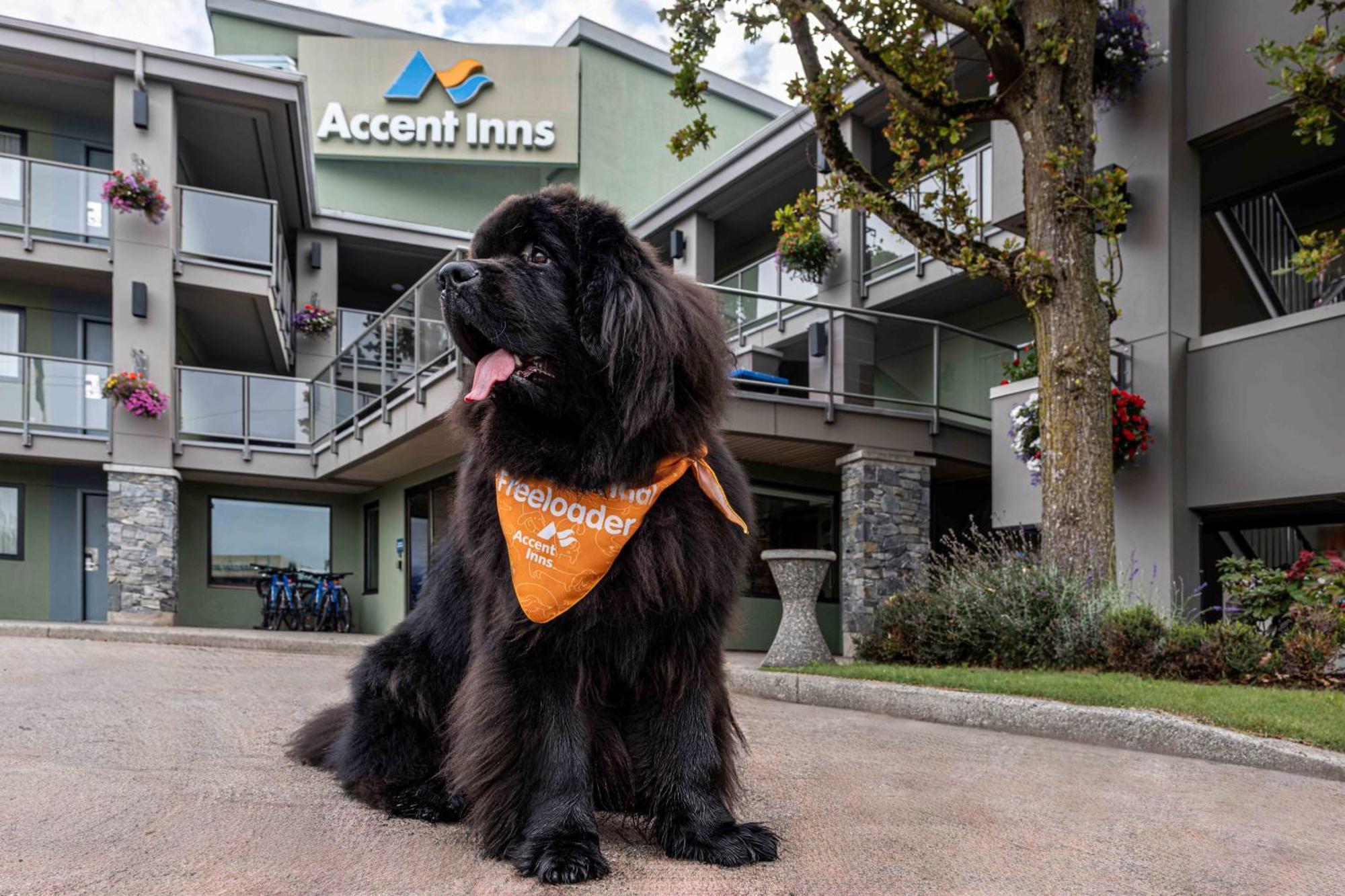 Accent Inns Kamloops Exteriér fotografie